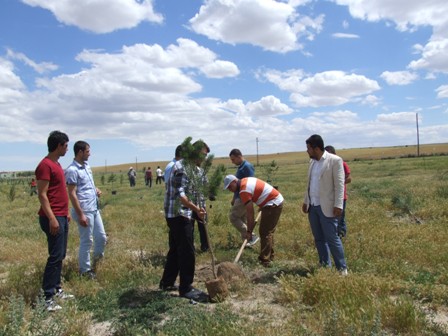 Kulu'da AK Parti Gençlik Kolları üyeleri fidan dikti