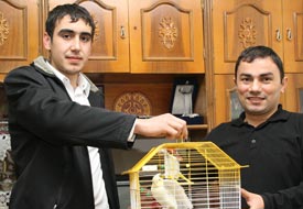 Papağan için gazeteye ilan verdi