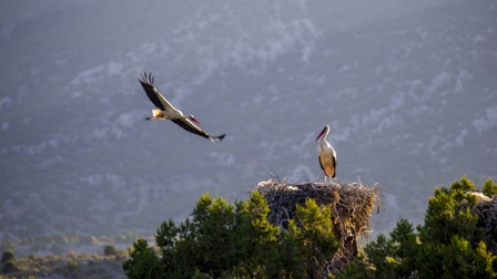 Leylekler Vadisi'nin yeni güzellikleri