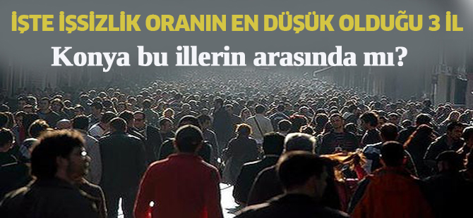 İşsizlik oranın en düşük olduğu 3 il