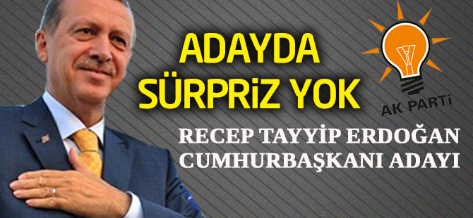 AK Parti'nin Cumhurbaşkanı adayı Erdoğan