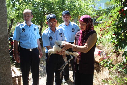 Yaralı leyleğe yardım eli