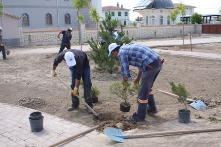 Karatay Belediyesi’nin yeşil alan çalışmaları sürüyor