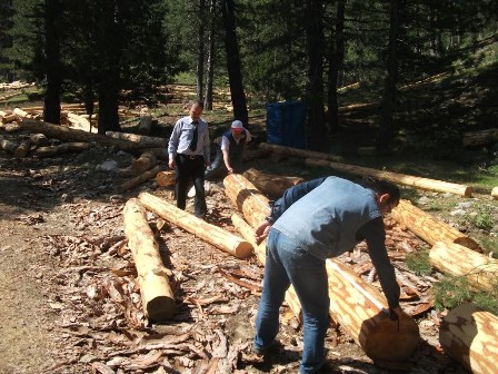 Beyşehir Orman İşletme Müdürlüğü'nde rekor ciro