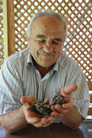 Annesiz kalan yavru kuşlara şefkat eli