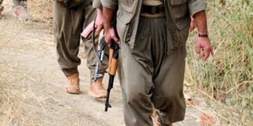 PKK'ya silah bırakma çağrısı bölgede coşkuyka karşılandı