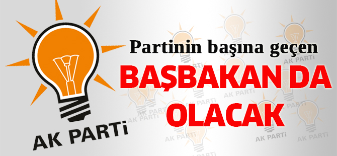 AK Partinin başına geçen Başbakan da olacak