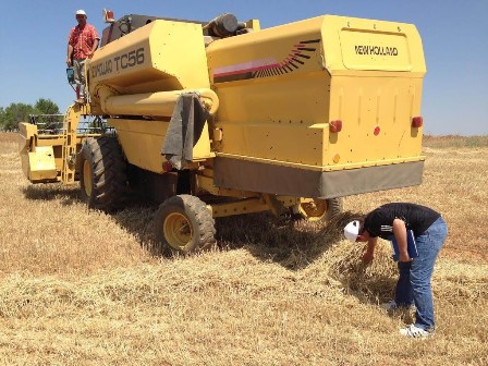 Beyşehir'de biçerdöver hasat kontrolleri başladı