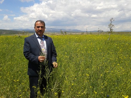 Yem bitkileri üretimi artıyor