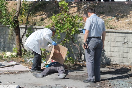 Çıktığı direkten düşerek öldü