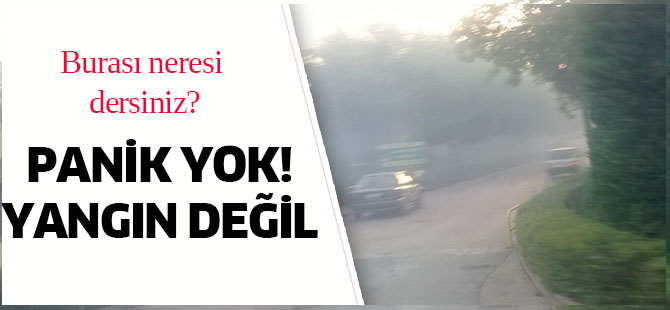 Panik yok!