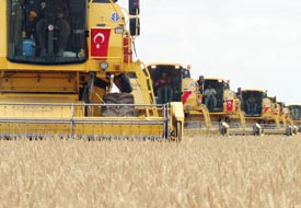 Selva'nın 'tarladaki tüccar' endişesi