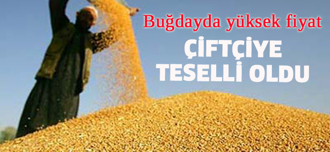 Buğdayda yüksek fiyat çiftçiye teselli oldu