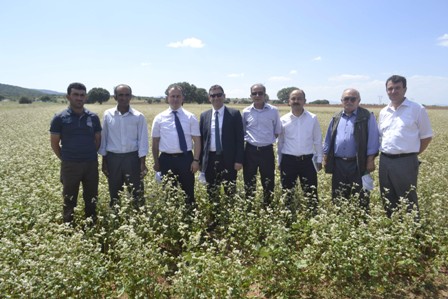 Konya’da karabuğday ve soya fasulyesi üretimi yaygınlaştırılacak