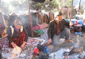 Akla gelmeyenler başa gelirmiş