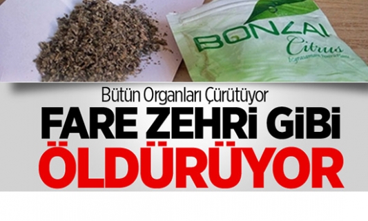 Aileler dikkat!  Esrar'dan 100 kat daha zehirli