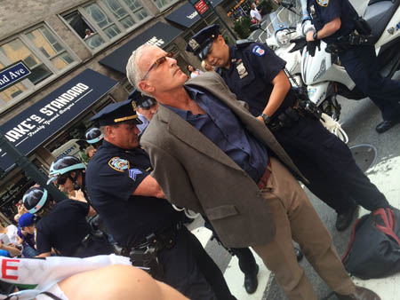 Finkelstein'a İsrail protestosu gözaltısı