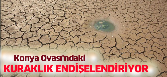 Konya Ovası'ndaki kuraklık endişelendiriyor