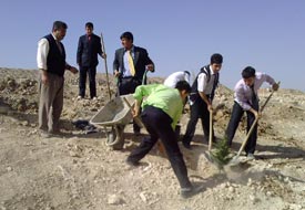 30 bin badem fidanı dikildi