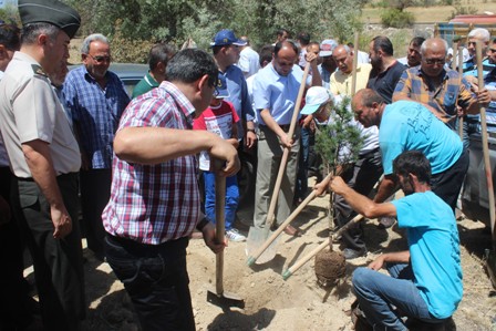 Mezarlıkları ağaçlandırma çalışmaları