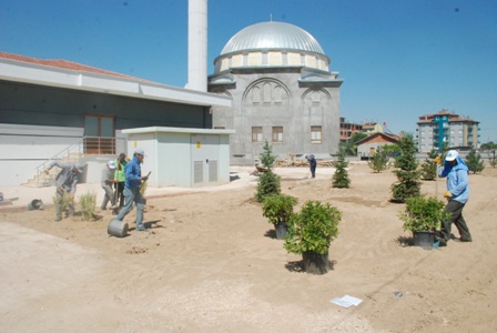 Karatay Belediyesi, Cami Bahçelerini Yeşillendirme Çalışmalarını Sürdürüyor
