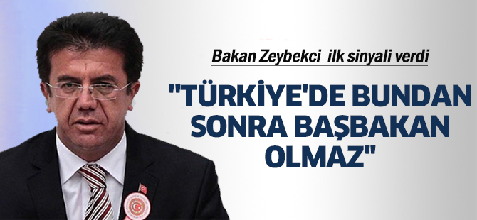 Zeybekci: Türkiye'de bundan sonra Başbakan olmaz