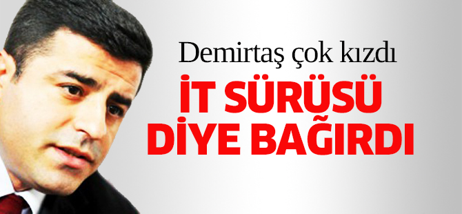 Demirtaş çok kızdı: Barbar it sürüsü