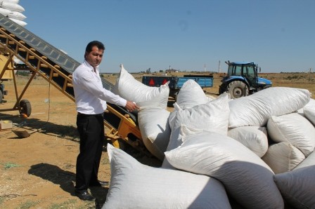 Seydişehir’de TMO koza alımlarına başladı