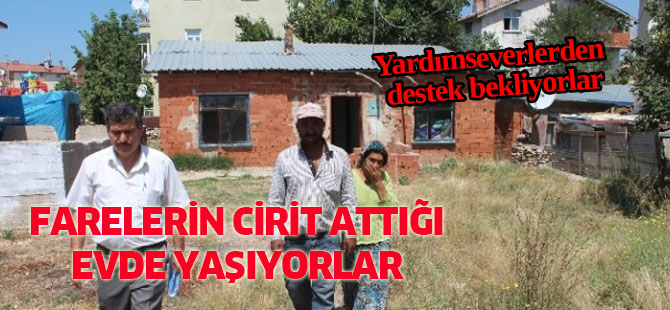 Farelerin Cirit Attığı Evde Yaşayan Çoban Aile Yardım Bekliyor