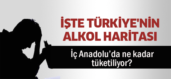 Türkiye'nin alkol haritası