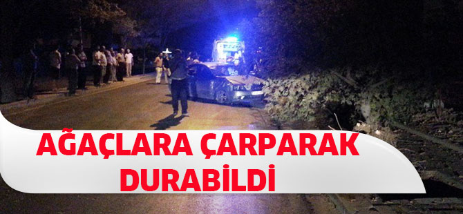 Ağaçlara çarparak durabildi
