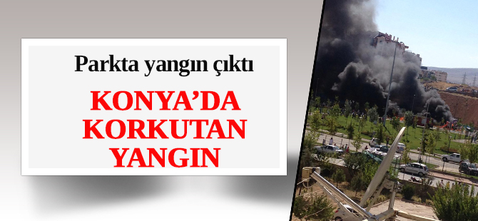 Konya'da bir parkta yangın çıktı
