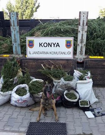 Konya'da uyuşturucu operasyonu