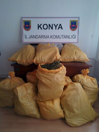 Jandarma’dan esrar operasyonu
