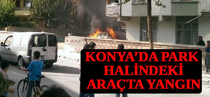 Park halindeki araç yandı