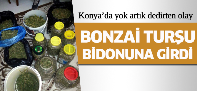 Konya'da bonzai turşu bidonuna girdi