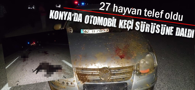 Konya'da otomobil keçi sürüsüne daldı