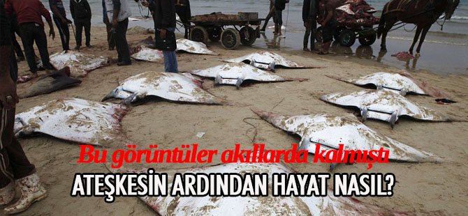 Gazze'de hayat normal