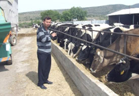 Hayvancılığa 'Hay-Kent' kimliği geliyor