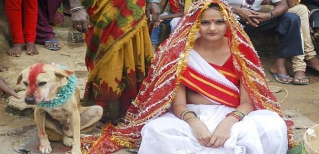 Köpekle evlenmek zorunda kaldı