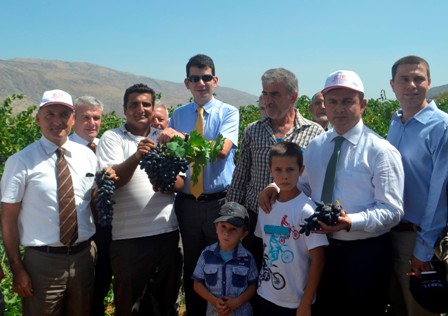 Konya’da üzüm hasadı