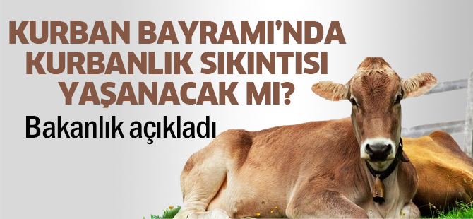 Kurban Bayramı’nda kurbanlık sıkıntısı yaşanacak mı?