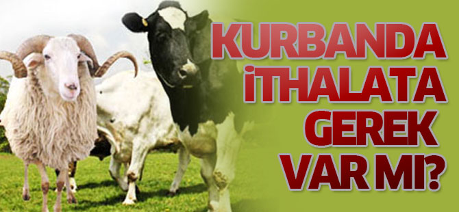 "Kurbanda ithalata gerek yok"