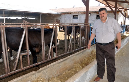 Kırmızı et üreticileri de sertifikalı çoban istiyor