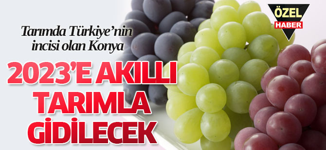 Tarımda Türkiye’nin incisi  Konya