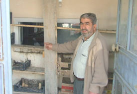 Kulu'da güvercin hırsızlığı