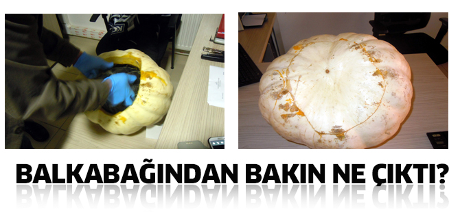 Konya’da balkabağından 2 kilo esrar çıktı