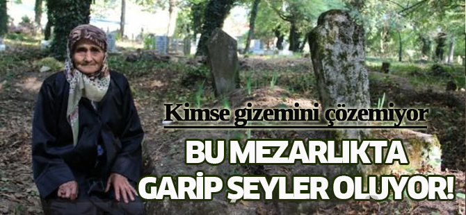 Bu mezarlıkta garip şeyler oluyor!