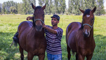 Ereğli'nin ayrık otu, yarış atlarını koşturuyor