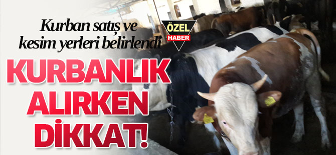 Kurban satış ve kesim yerleri belirlendi